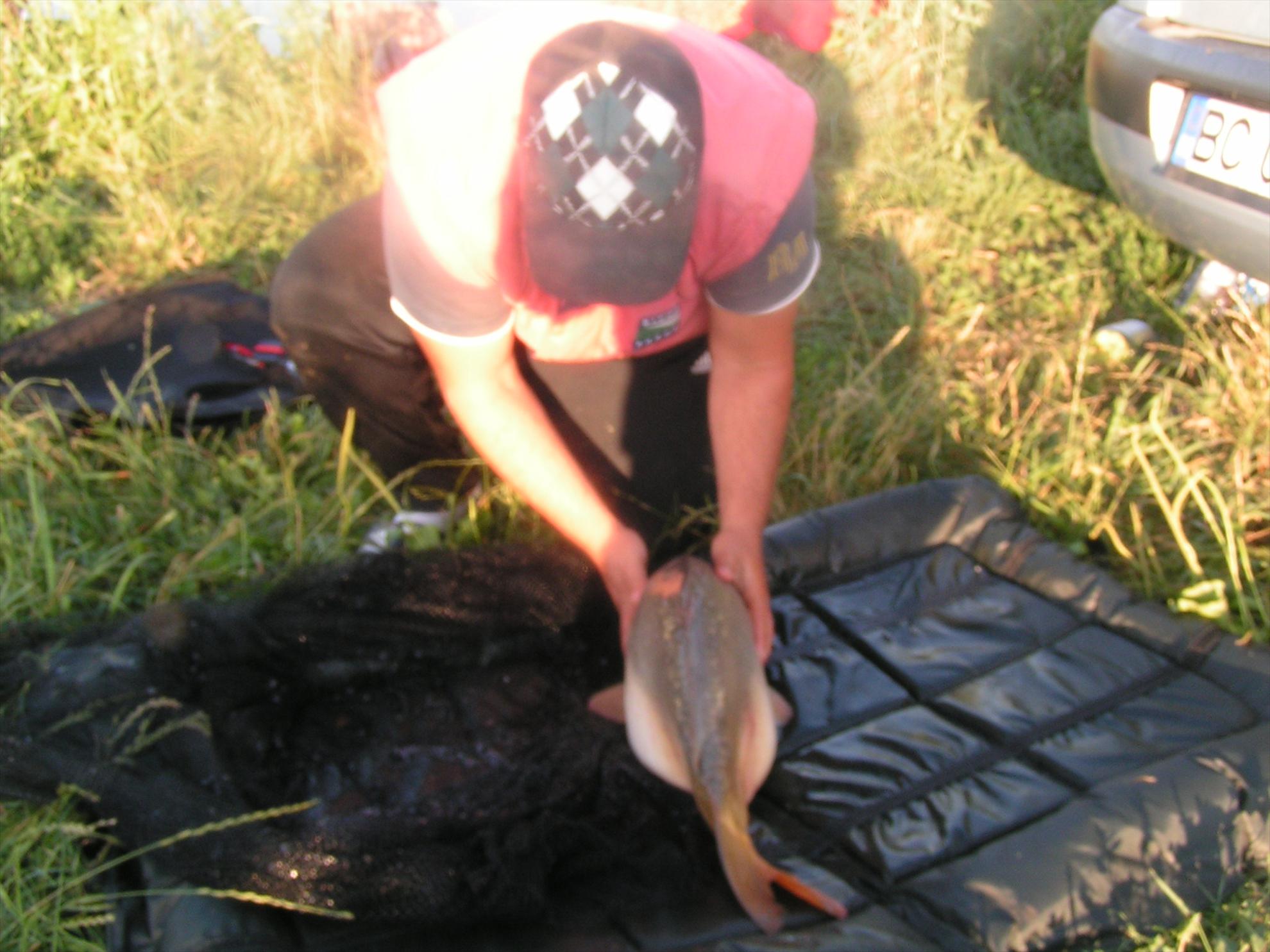 Lates 2-3.07.2012 - pict0042.JPG